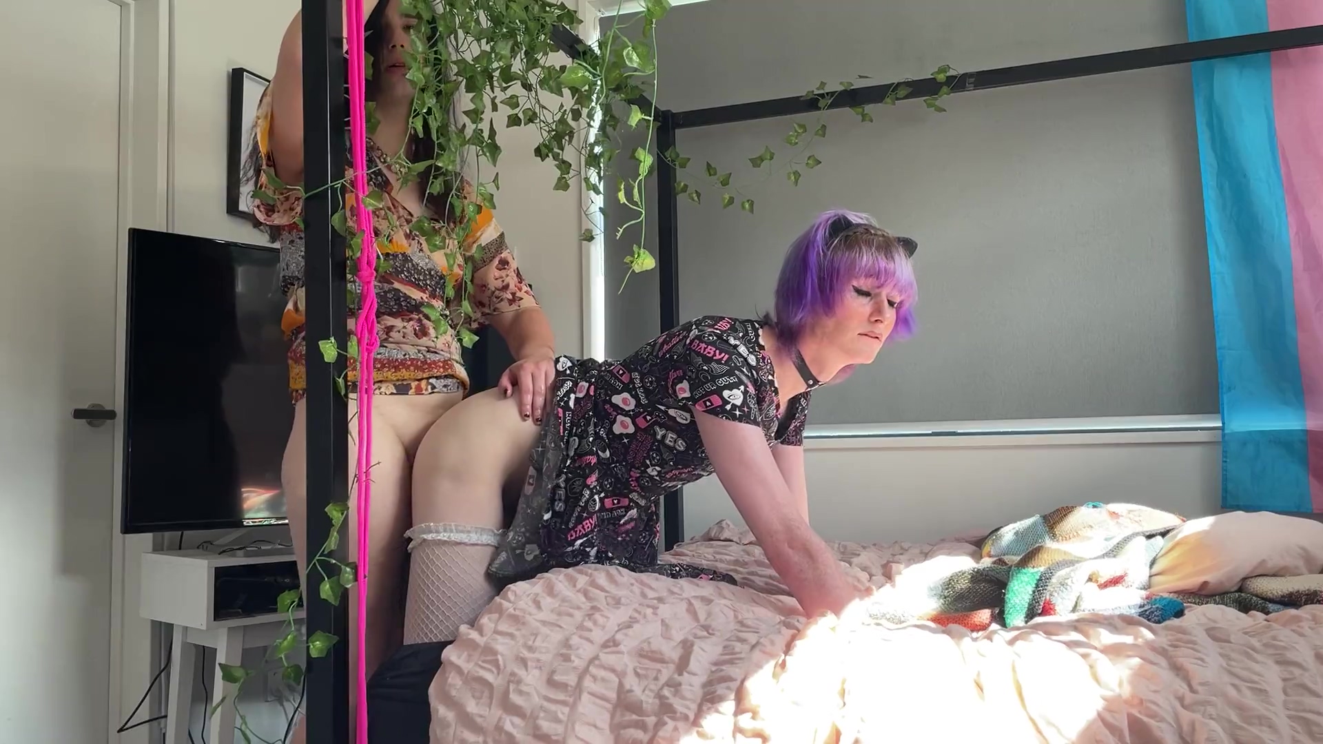 New Zealand Amateur Trans Lesbian Anal Ass Fucking Cassie Moans Shemale Porn Video - Shemale and Tranny Porn Tube pic